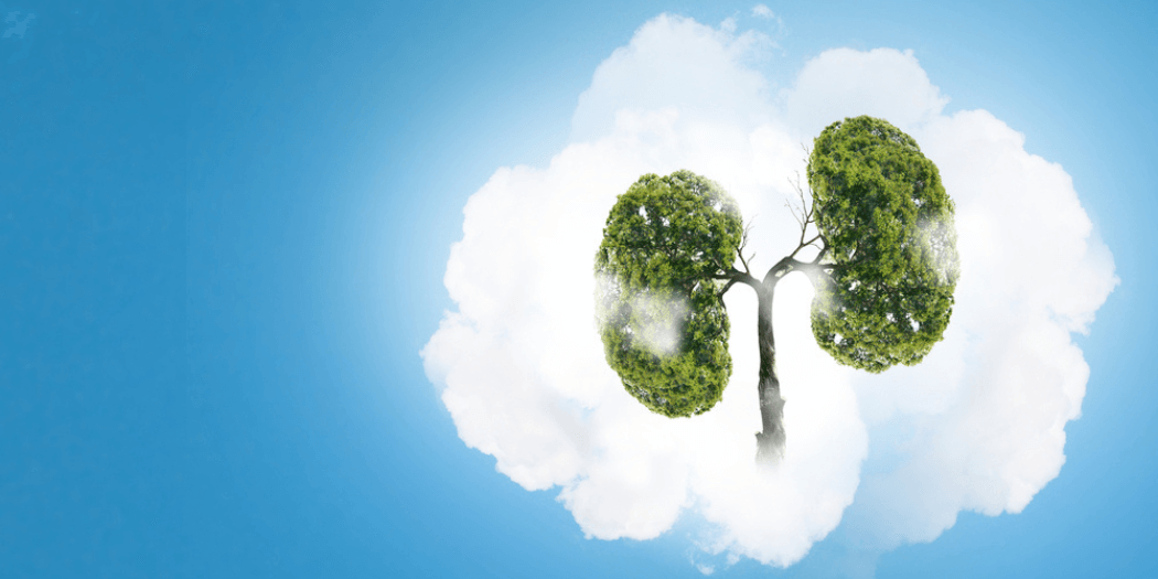 Inhaled Corticosteroids in Hospice (1)